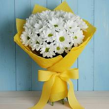 Букет цветов из:  Хризантемы в Благовещенске Амурской области