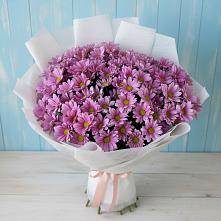 Букет цветов из:  Хризантемы в Благовещенске Амурской области