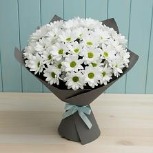 Букет цветов из:  Хризантемы в Благовещенске Амурской области