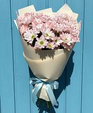 Букет цветов из:  Хризантемы в Благовещенске Амурской области