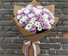 Букет цветов из:  Хризантемы в Благовещенске Амурской области