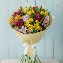 Букет цветов из:  Альстромерии в Благовещенске Амурской области