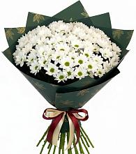 Букет цветов из:  Хризантемы в Благовещенске Амурской области