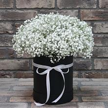 Цветочная композиция из Гипсофила в шляпной коробке в Благовещенске Амурской области