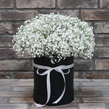 Цветочная композиция из Гипсофила в шляпной коробке в Благовещенске Амурской области