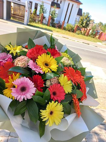Букет цветов из: Герберы в Благовещенске Амурской области