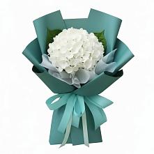Букет цветов из:  Гортензия в Благовещенске Амурской области